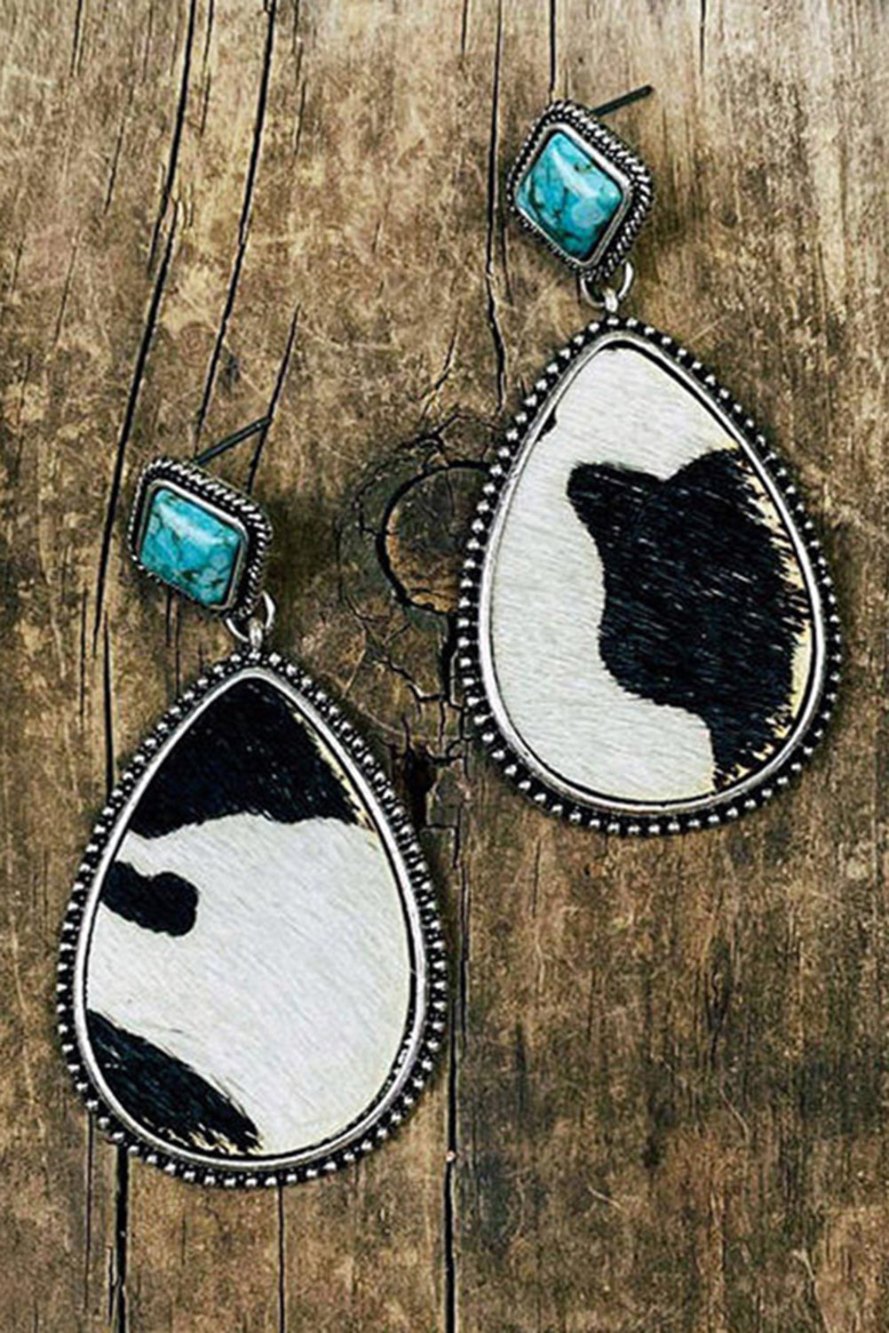 Black cow print turquoise earrings with silver trim and turquoise stone studs on wood background